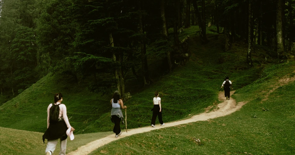 Wildlife and Nature Trails in Sanjay Gandhi National Park