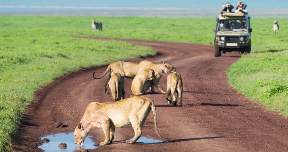 Wildlife and Nature Trails in Sanjay Gandhi National Park