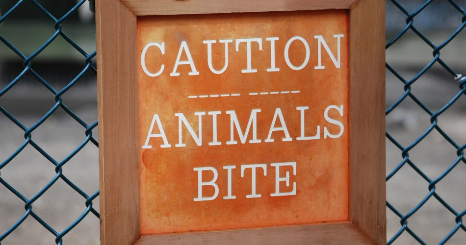 Wildlife and Nature Trails in Sanjay Gandhi National Park