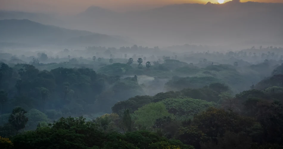 Wildlife and Nature Trails in Sanjay Gandhi National Park